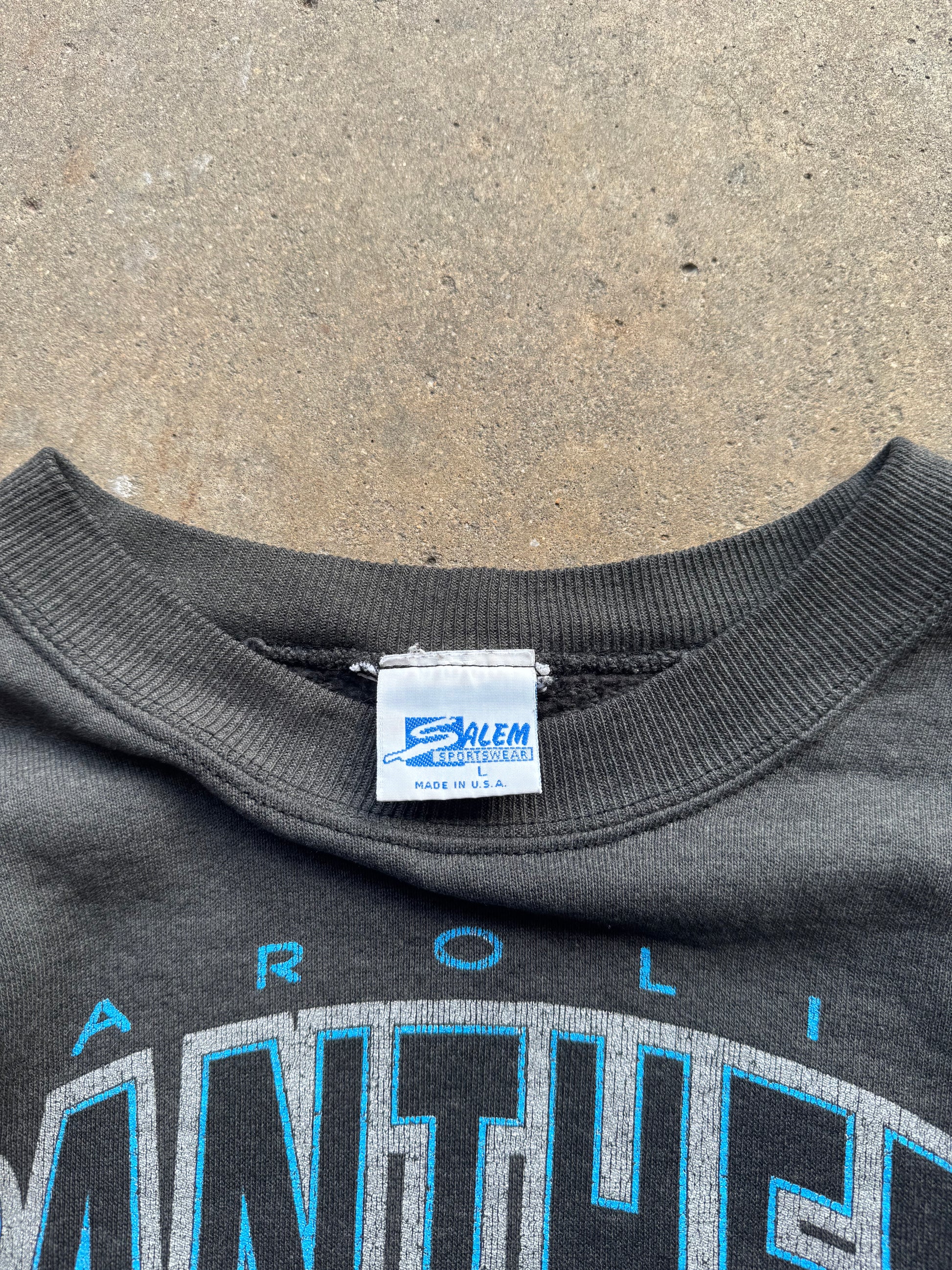 (L) 90s Carolina Panthers Helmet Crewneck