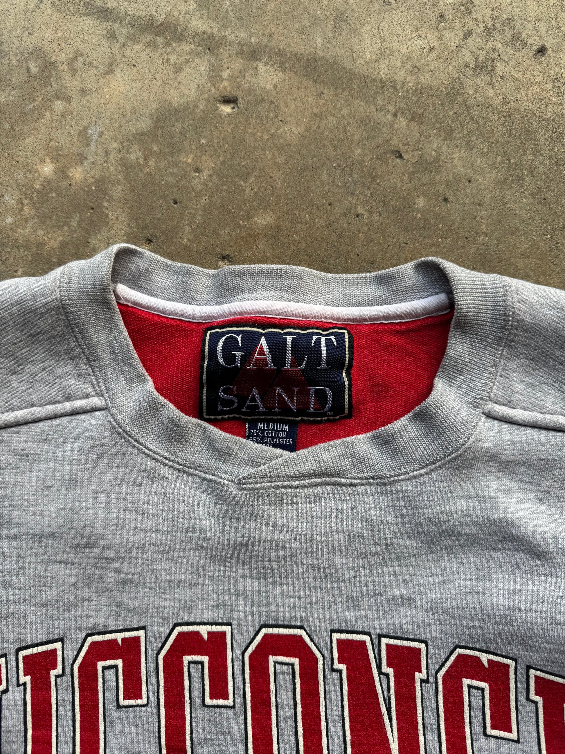 (M) 90s Wisconsin Badgers Graphic Crewneck